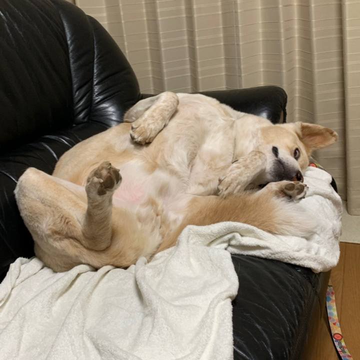 Efaf3215 9d55 415e a3c0 27403688abff 1558191624869