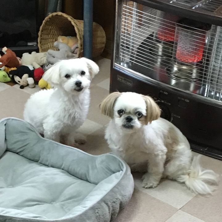 Efaf8465 f2ec 4fd3 ac26 12719923365b 1575676607887