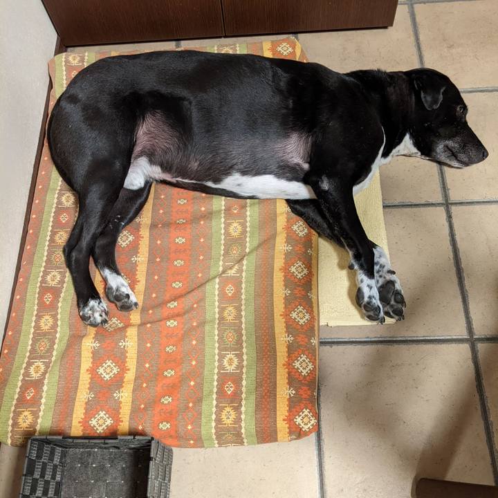 Efaf8d3b 9d40 4ed0 a117 3ead332a2c19 1666745235029