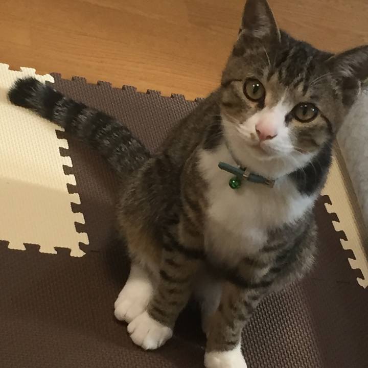 Efafb7e7 3bd0 40ff b333 c294c9dc5357 1661032097218