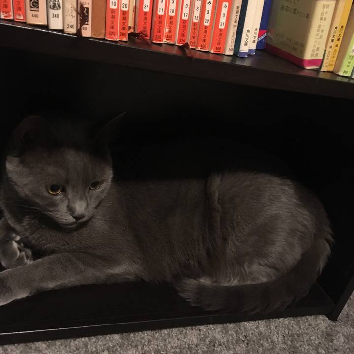 Efafc87b 907e 4a96 a2c6 4418b6988c64 1659553665891