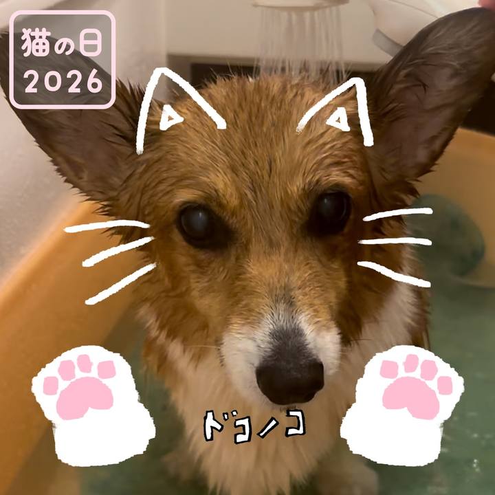 Efafdeb6 f805 408e 97da 06f0d9563e74 1771728922553