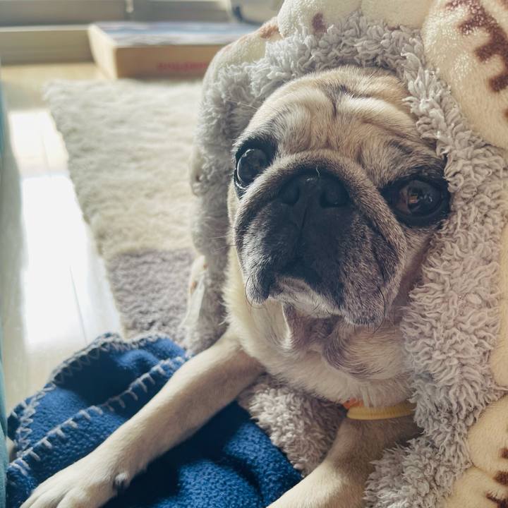 Efb005b8 b0f1 4c21 bb9d 9e6d1805be77 1764894017896