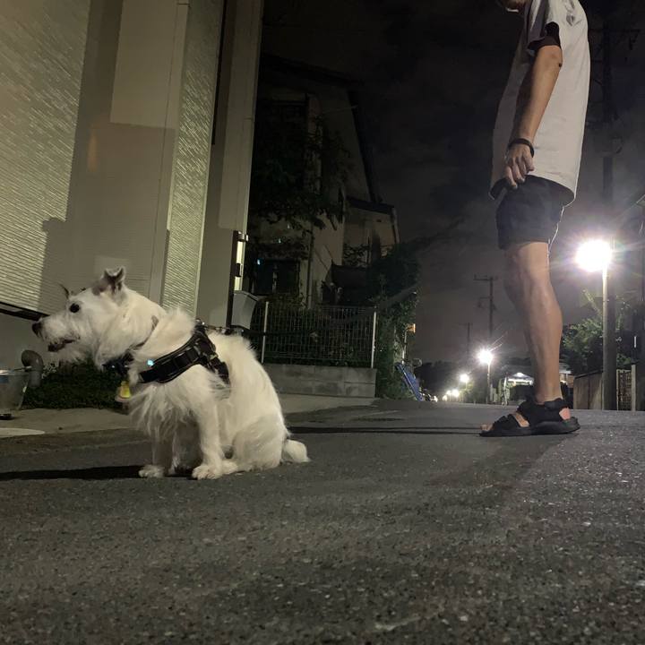 Efb0307f 359c 49ca b45e 990099f07fdb 1663246875923