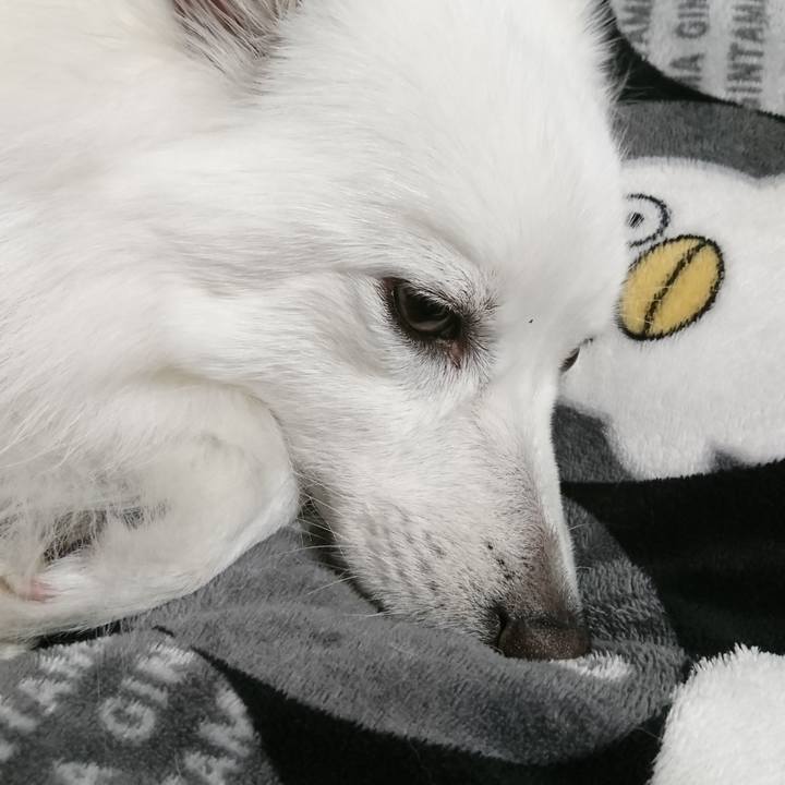 Efb03d4a e8ca 48fd 9ac7 968a87249f17 1559217170846