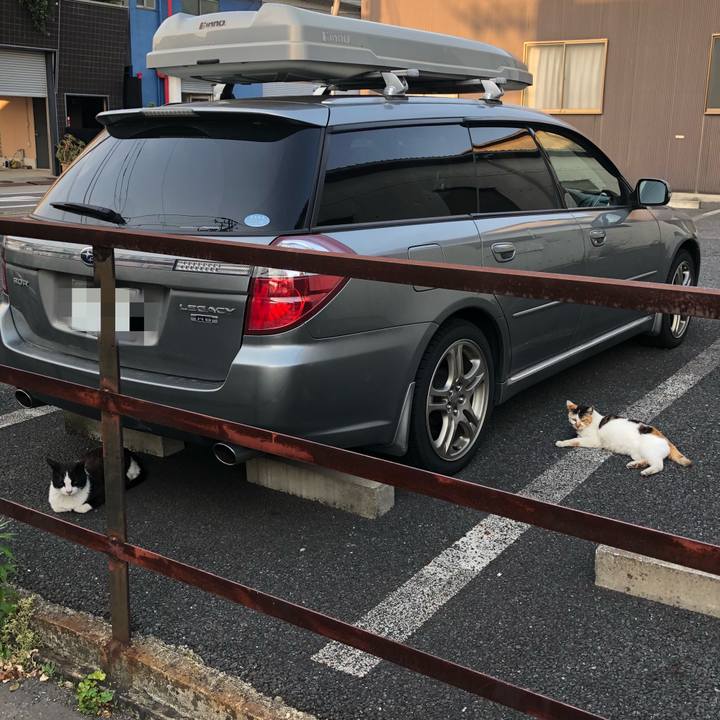 Efb046e3 8f59 4315 8871 f1a9c905fc27 1525169178725