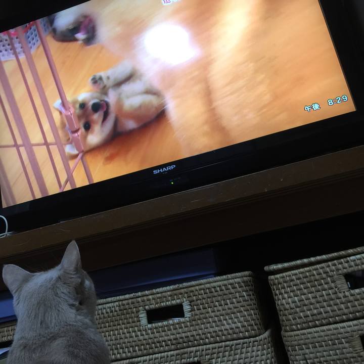 Efb0503f 0369 42f0 b07f 3a890ee5b6ac 1577197623410