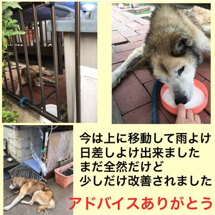 Efb08a7f c986 4690 9153 0072691f7e00 1529407567875