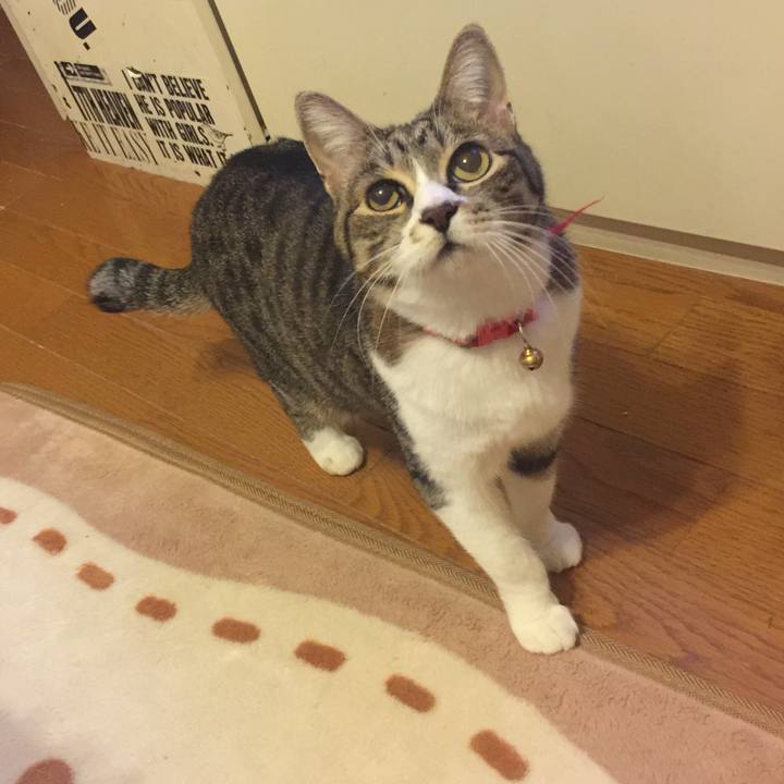 Efb09ab9 ad52 47da ad2d b32bb403ebb5 1557416044282