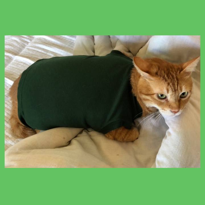 Efb0d384 94c3 4a22 a5d5 54e7a8c77ab3 1630730439701