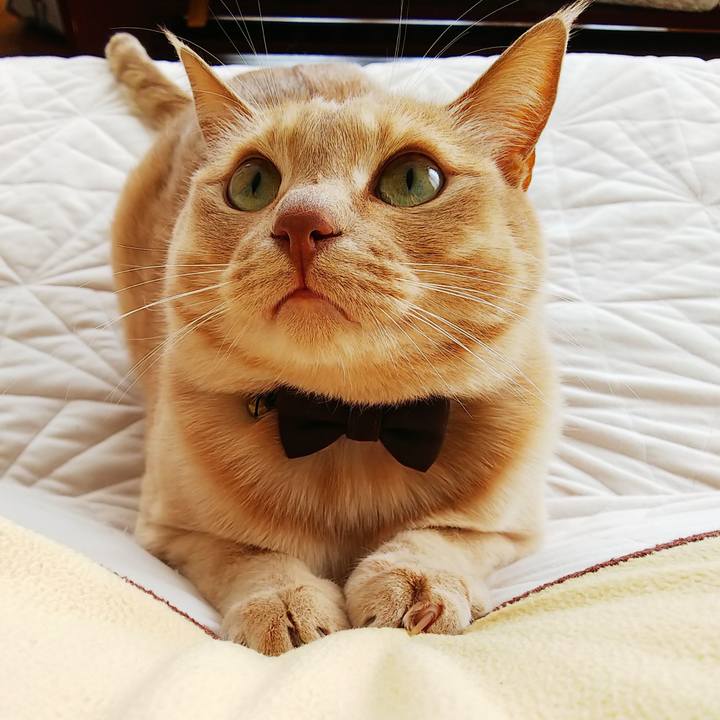 Efb10263 57bd 446a 8171 6c58133335a0 1613269196716