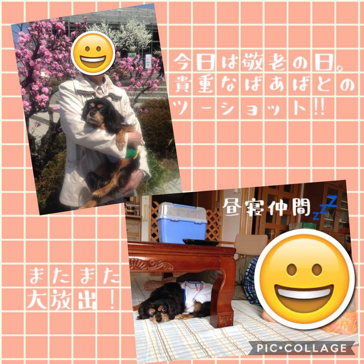 Efb10d41 72c5 476c aef5 8f4486753219 1537167945093