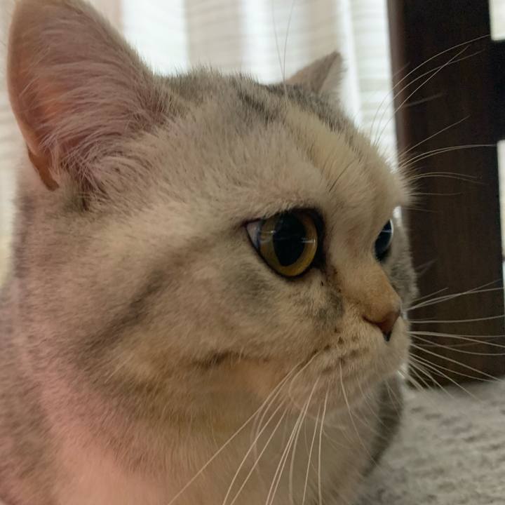 Efb11bec e45d 40b9 8c7b 77234006edd0 1709297604107