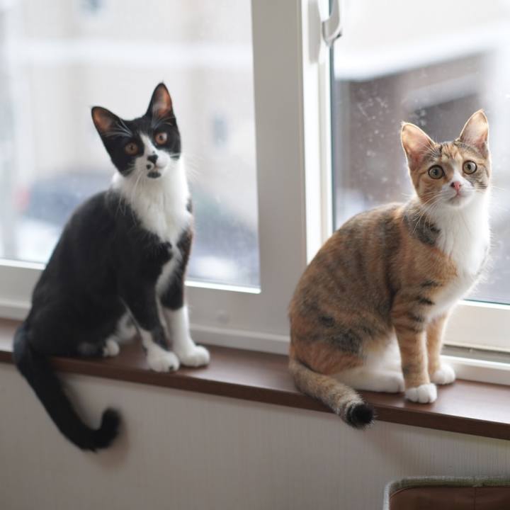 Efb14670 46ef 4480 a61e aaee3c70147b 1577232531480