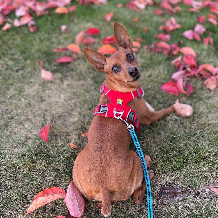 Efb16b98 29f0 43b0 8f1d c6b6a79efe90 1632900171292