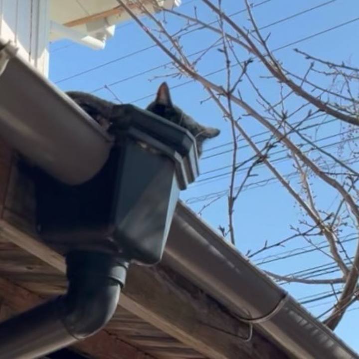 Efb1db3c 21f6 4490 ac8e 1a5024a5dbd5 1768572476444