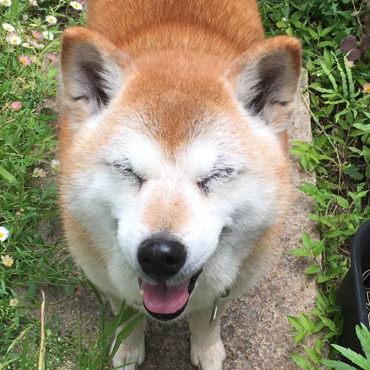 Efb1f5ca a395 433c 9717 d16d5d695980 1529628943301