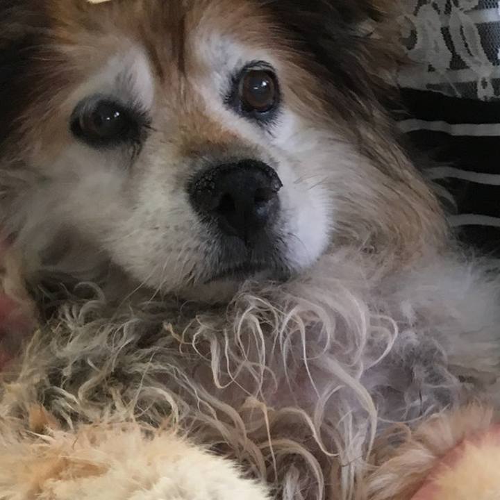 Efb24c8d 096d 4cd3 9ebf 29d8b5fc4207 1587951045087