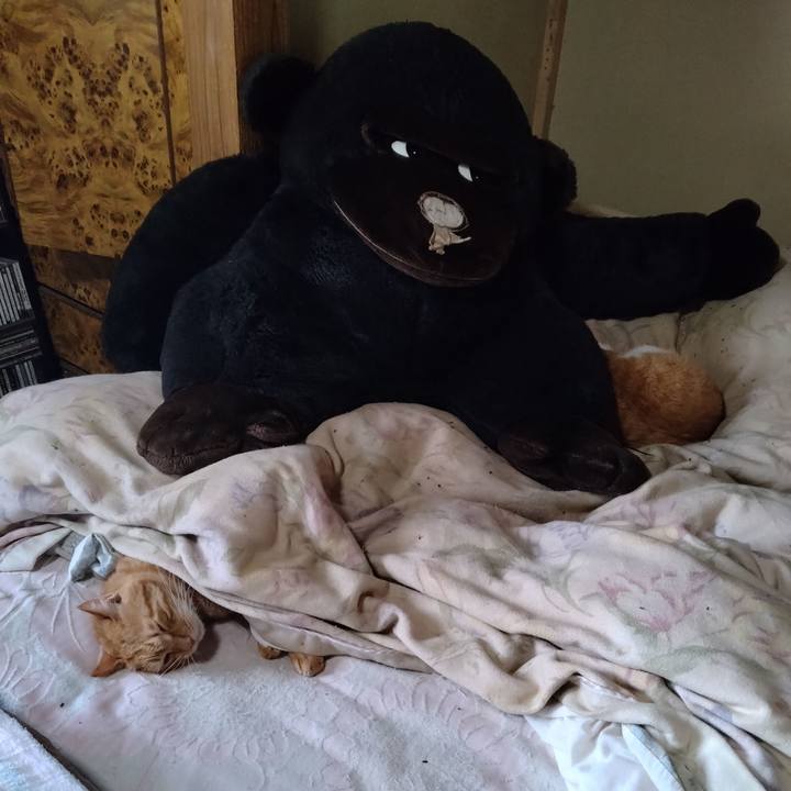 Efb2b245 3794 4354 83fa fd005b5a7a9e 1764304775811