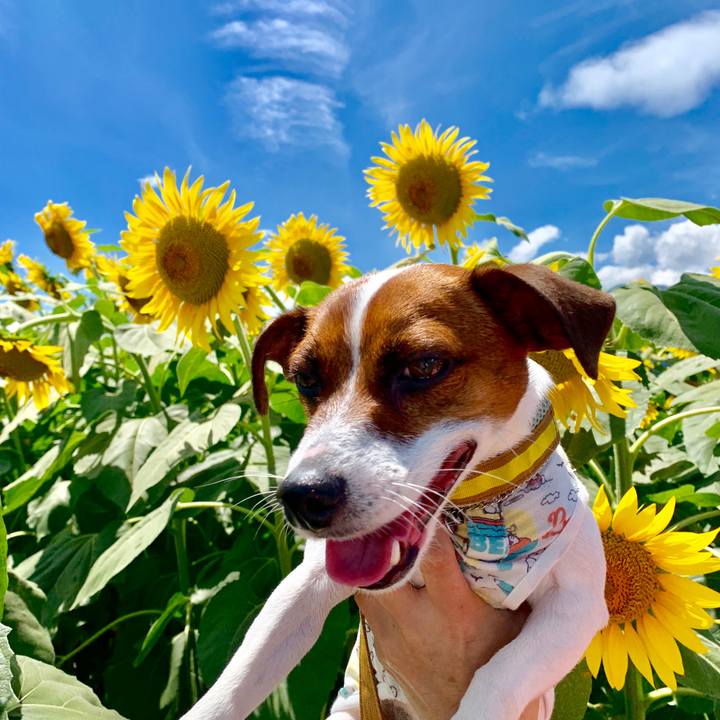 Efb2d546 7a63 499a 89ce 846078de6781 1633835356649