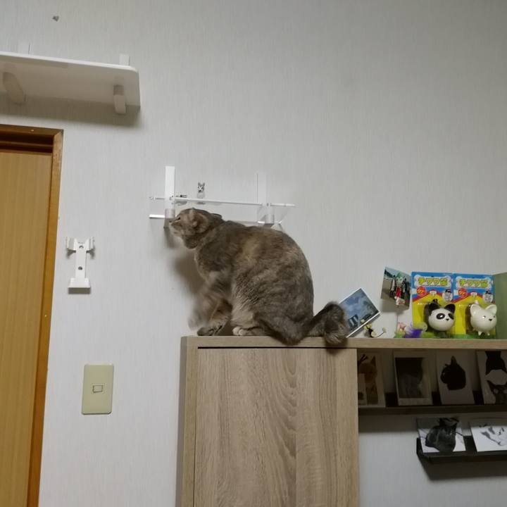 Efb2d998 f310 48d6 a73d c5334722823d 1543620949795