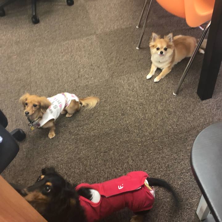 Efb2f171 7e4e 47d6 ab94 4ece30ac5bb3 1562302730573