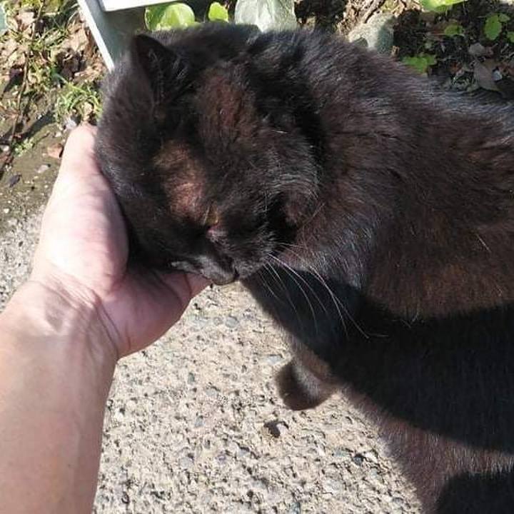 Efb32359 e508 4bc8 8d11 c372d46bff21 1633398406004