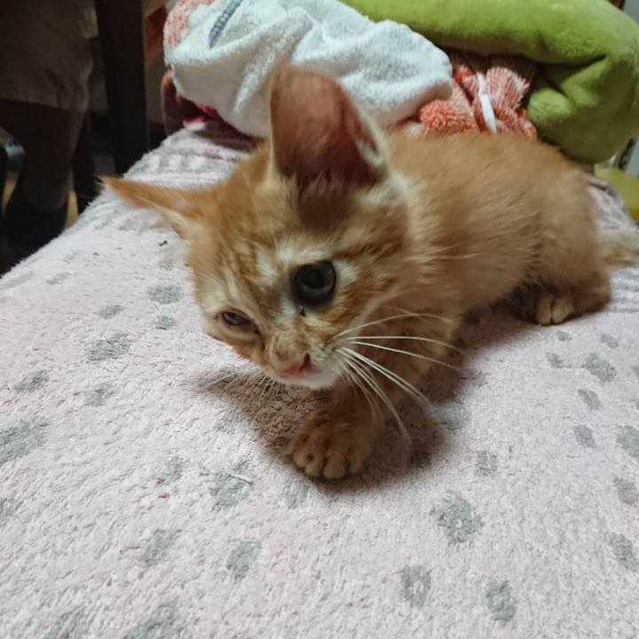 Efb352b0 c60f 4bf7 a48d 7e3e4bb754cd 1627990884327