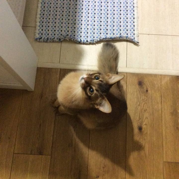 Efb36d29 19d2 43f9 a2ec 8c8fdeee9fe1 1588425460494