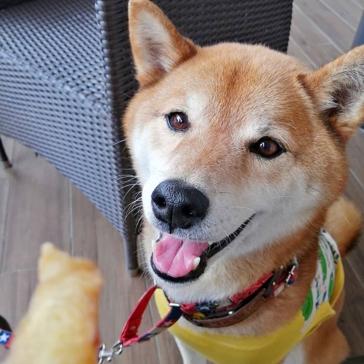 Efb41e34 e033 4a5b aa99 ed7395e72e47 1655043122088