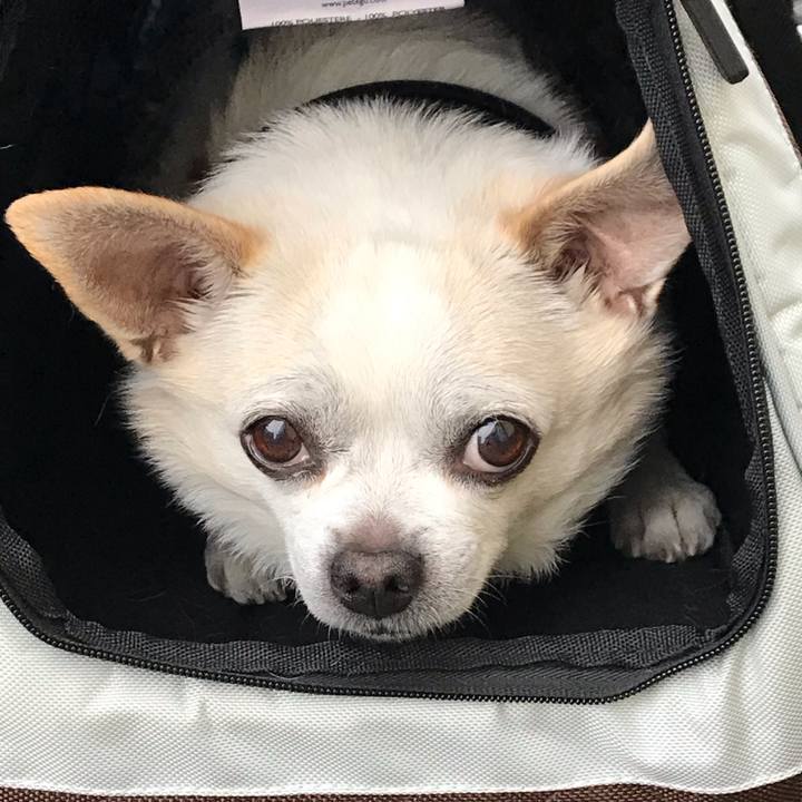 Efb43061 c6be 4dd6 b367 5d5e771fd2cb 1557237993081