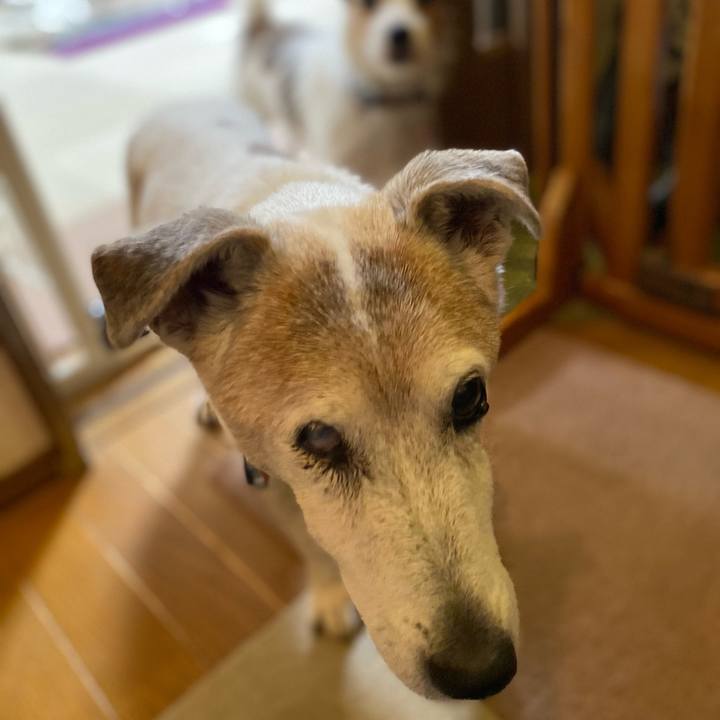 Efb43b7a dcf4 4b91 952b 1722d7f7a210 1706054166066