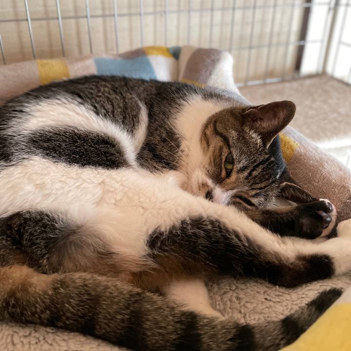 Efb4457c fc57 456e aade acdad240ffc6 1657756763379