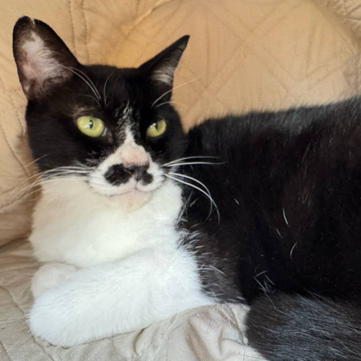 Efb47d0a 8bb4 49f5 a7d5 66828f58f0f2 1757635300883