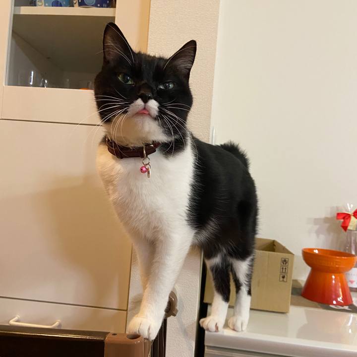 Efb49fb8 35d9 4cc1 8b21 a4473e3221b7 1636431033666