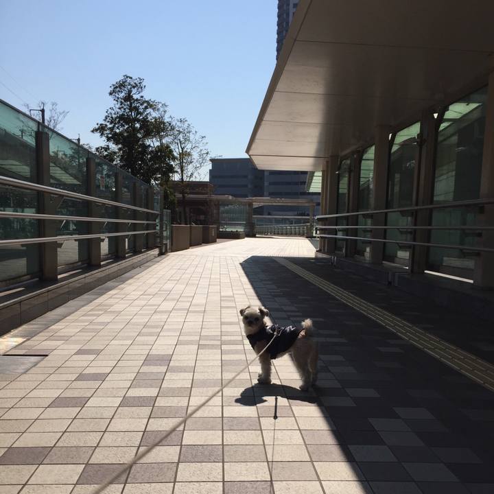 Efb4ae92 492d 406d bf59 6be1cdf5d545 1552114383085