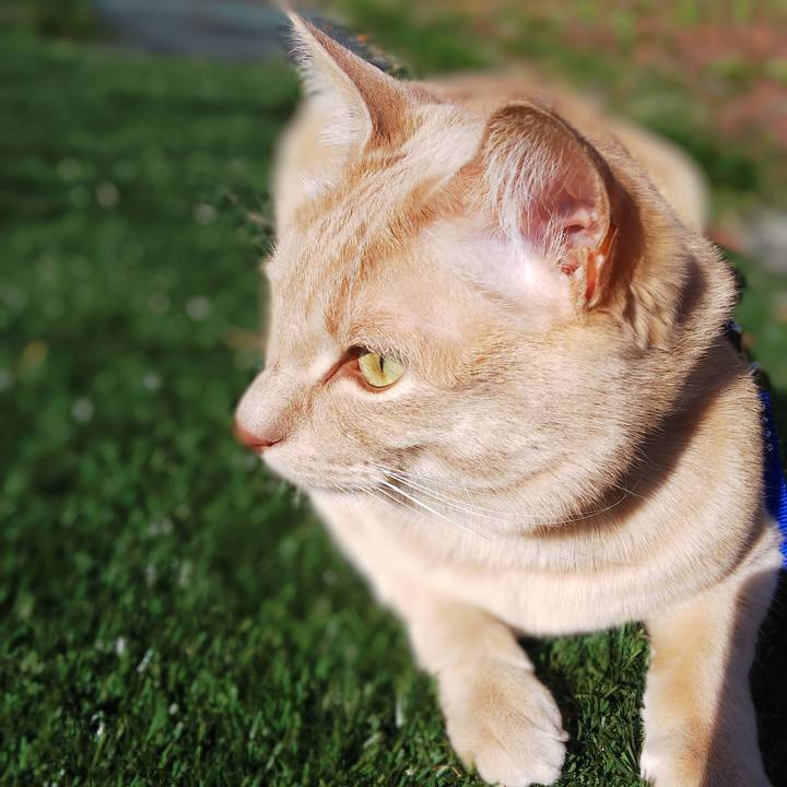 Efb4c9e3 a35b 4835 9579 ba04711005e5 1588204923950