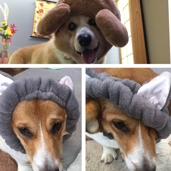 Efb4d3e2 dbaf 4feb ae08 9a9612dc3fe8 1604024111560