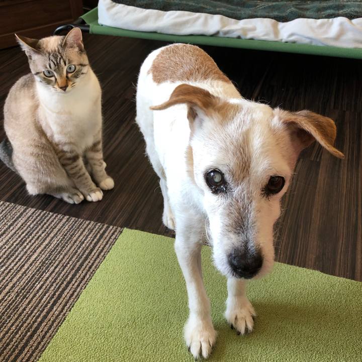 Efb50bd0 7748 4b93 bf75 03744fa1ee2c 1620396606431