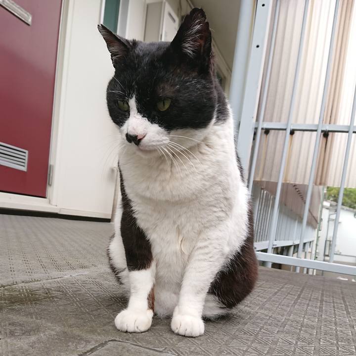 Efb50d86 c394 4af1 b609 7268763672c1 1587436688718