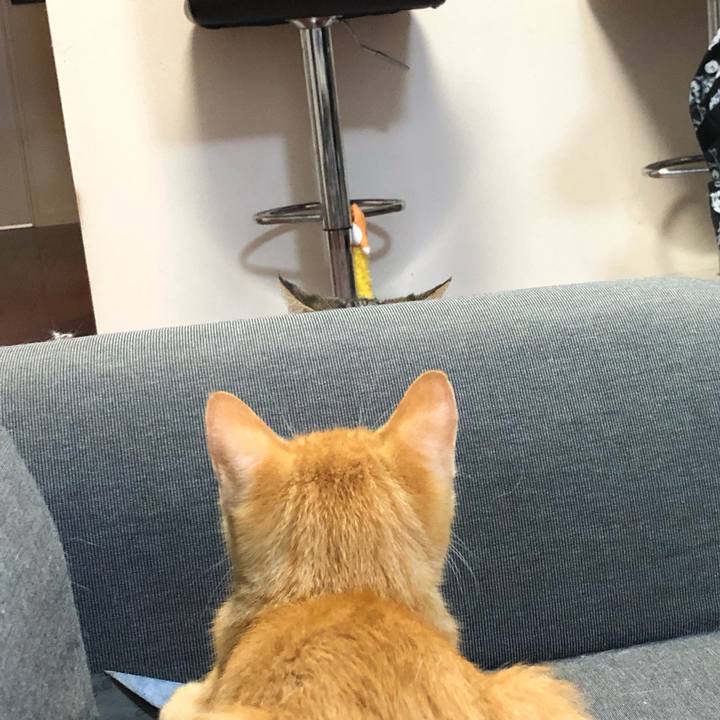 Efb50e3e a507 44b8 a5f2 5bd29ddac16f 1569085413600