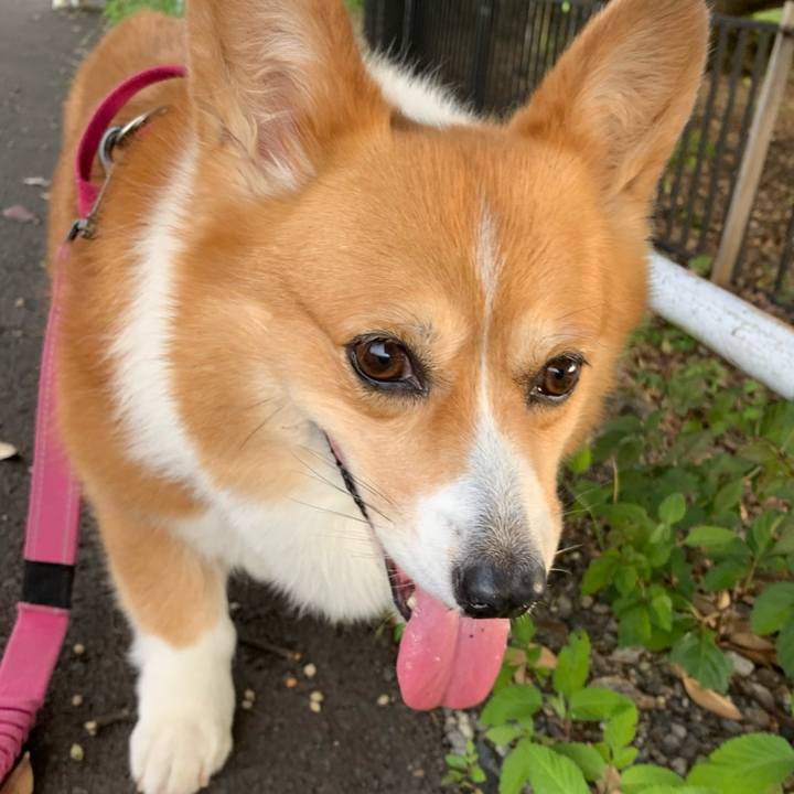 Efb51065 6dc3 4f09 9377 c18847333197 1626820904501