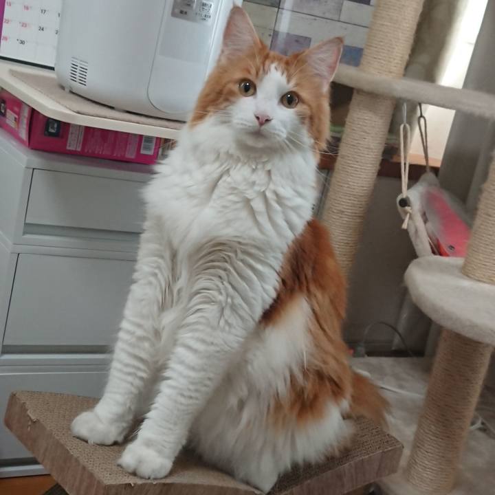 Efb53e31 09f3 435c 8938 2ef1afca6d9b 1569203357054