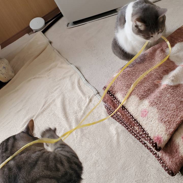 Efb563c9 3ec0 472a 9fb8 f8049264eacf 1707540164892