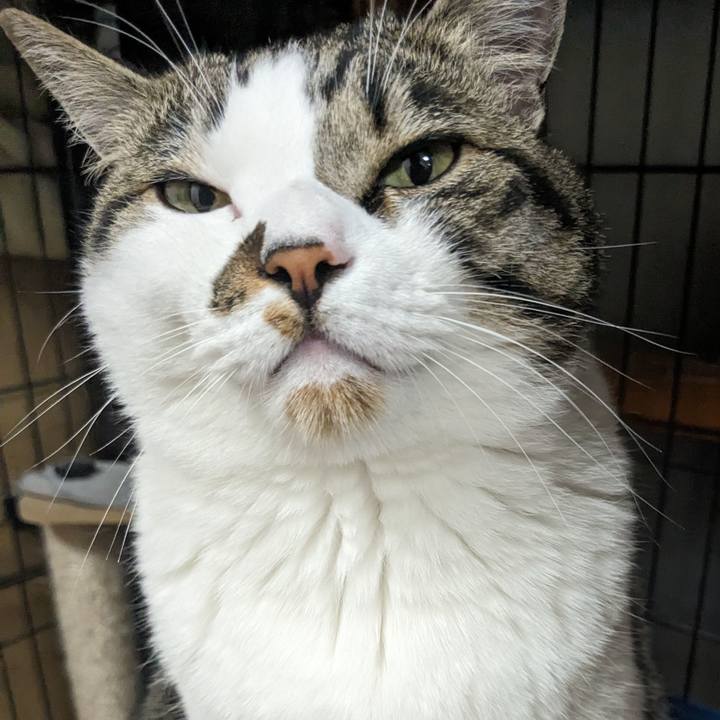 Efb56731 c5c2 41fc 9539 20e622c1459b 1718192913369