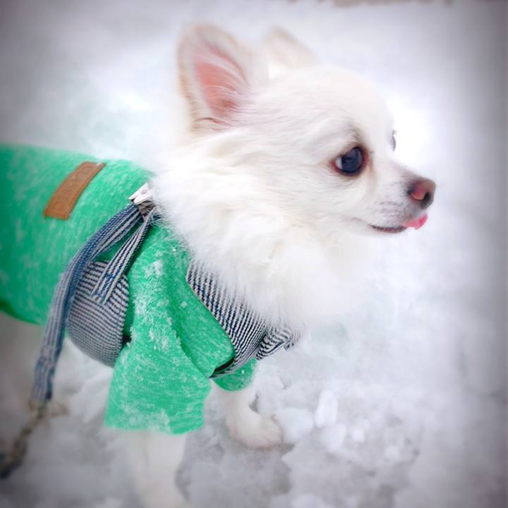 Efb56851 073c 48c9 a3f4 2a27d92873a6 1608716727057