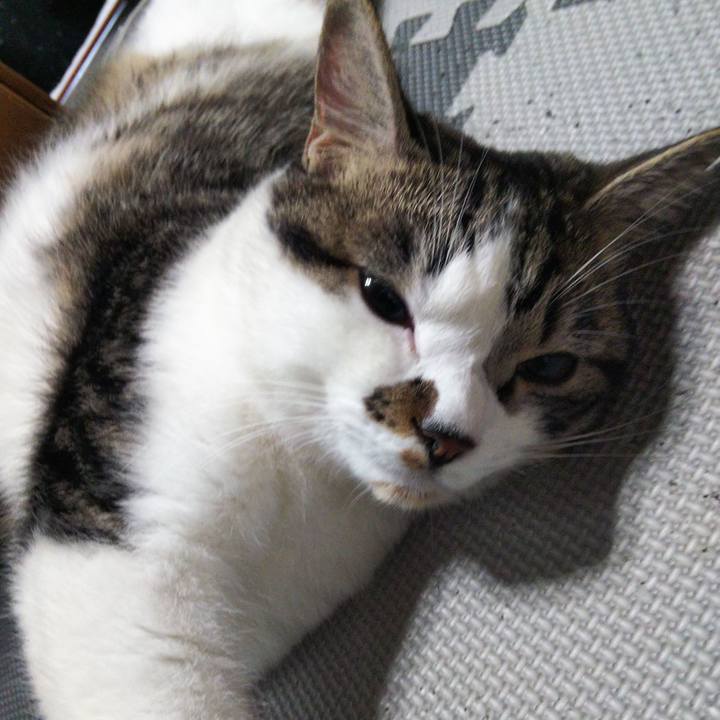 Efb56f95 720f 492e be8f c758daae30fb 1625179472775