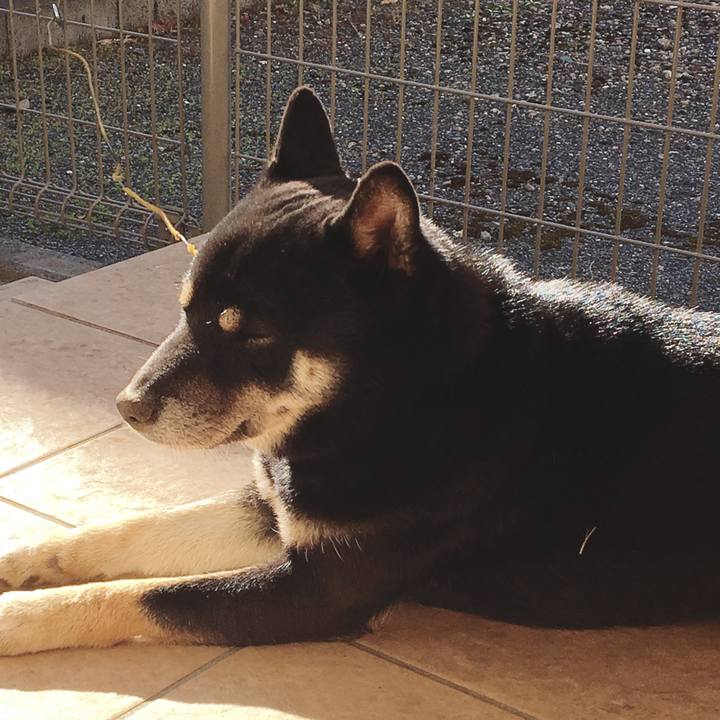 Efb59073 64af 4a35 bbe8 7d73fe7a102d 1544849644724