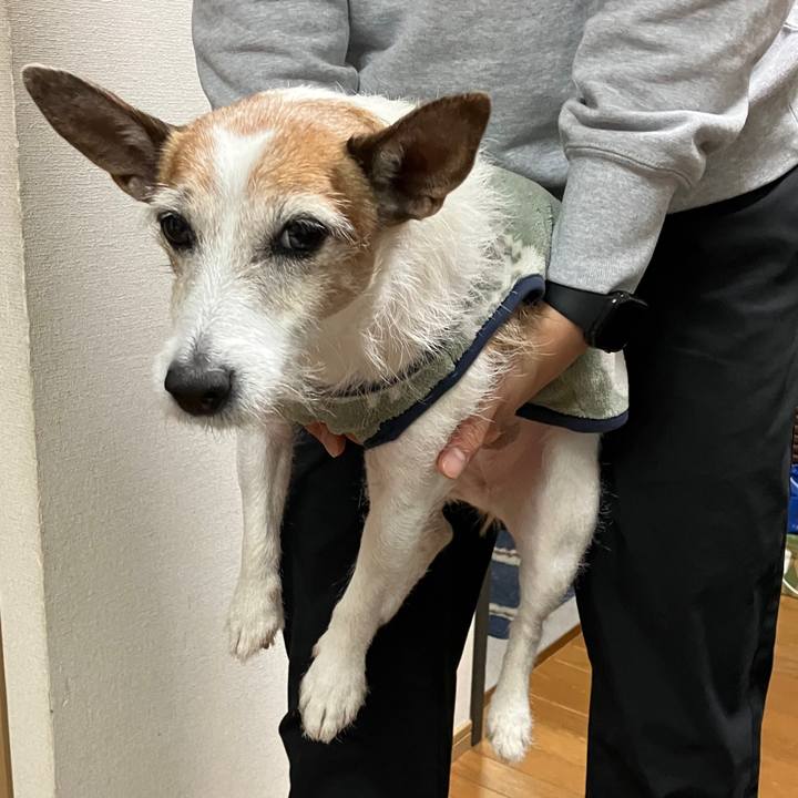 Efb5b84a 7049 447b 8b92 db72c43c8013 1701386572169