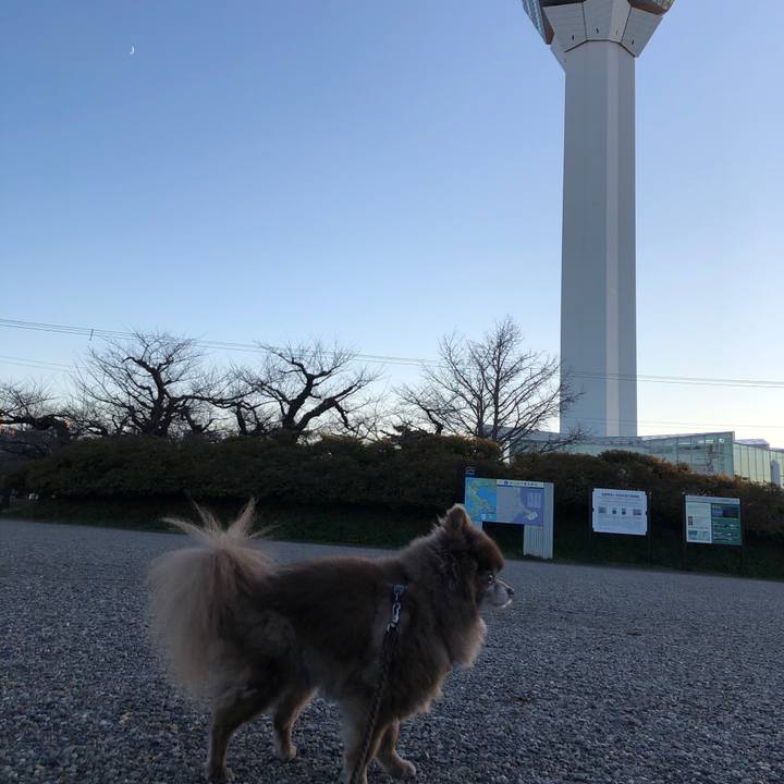 Efb5d2b6 63b8 44e3 b3b0 6766c2473813 1639040076663